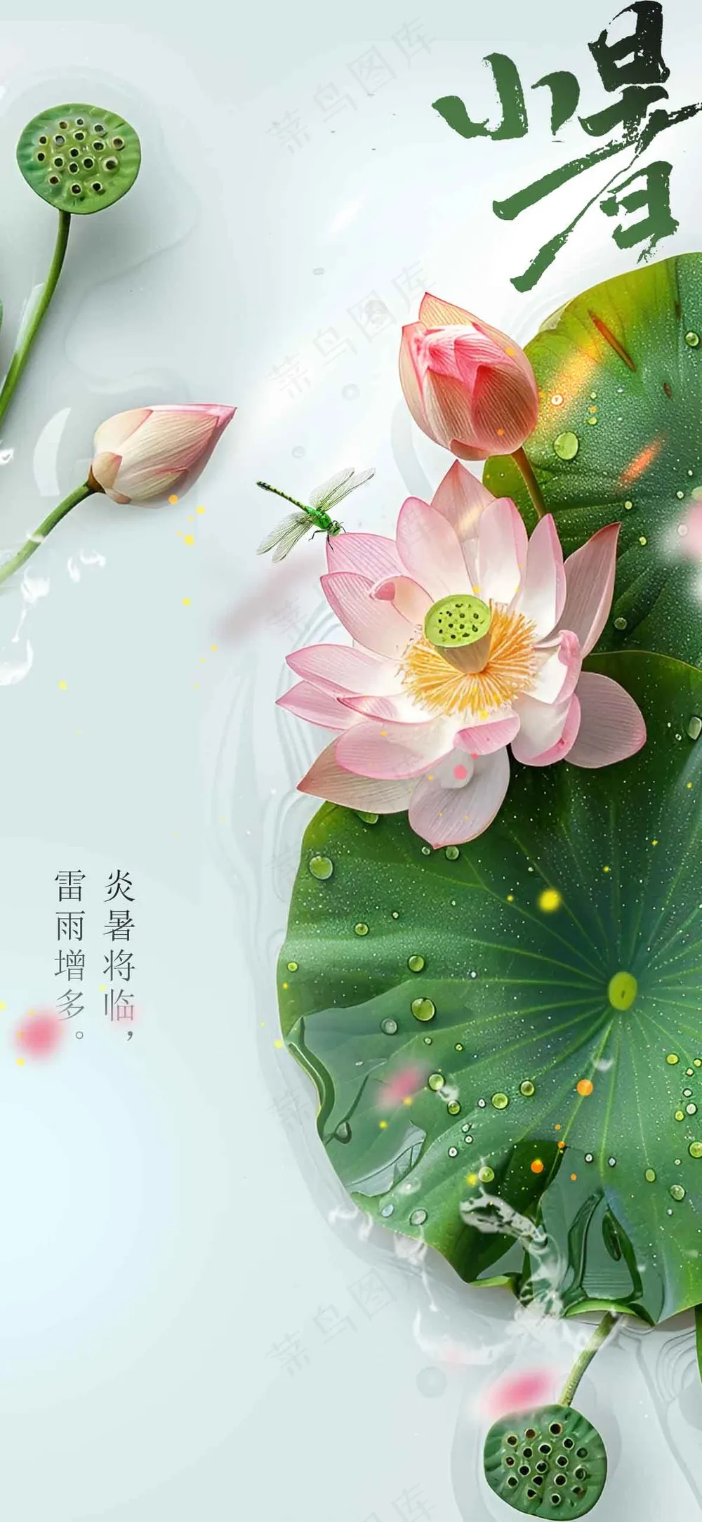 简约清新小暑节气海报