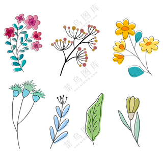 各种颜色种类的花朵 (4)