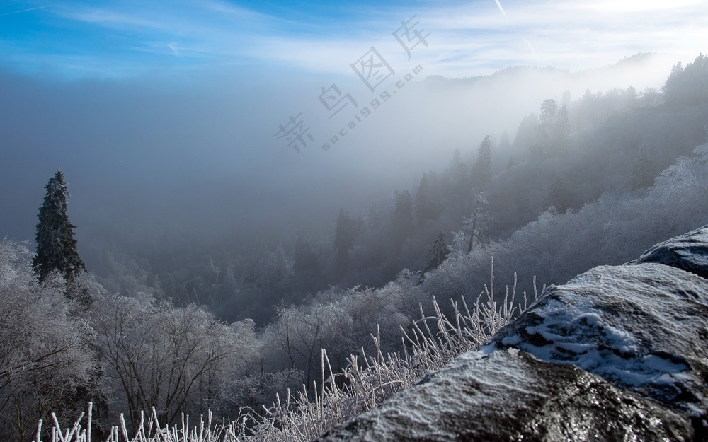 森林唯美雪地雪景图片 (3)