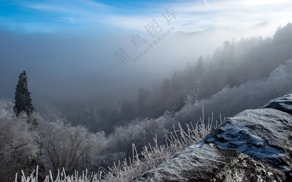 森林唯美雪地雪景图片 (3) 森林唯美雪地雪景图片 (3)