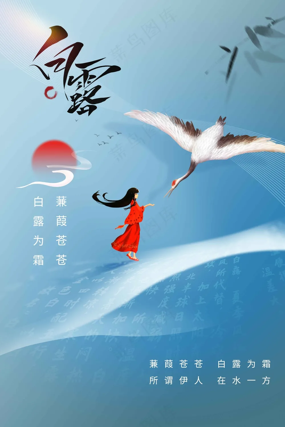 白露节气传统活动海报