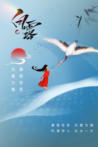 白露节气传统活动海报