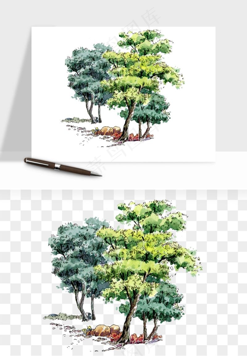 水彩手绘树木png免抠