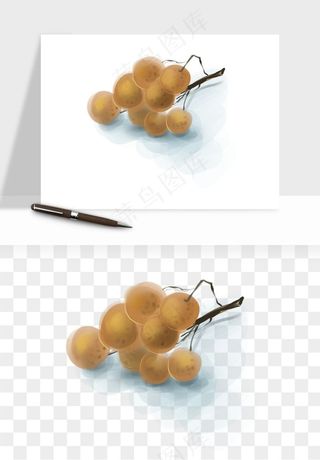 龙眼桂圆水果png免抠