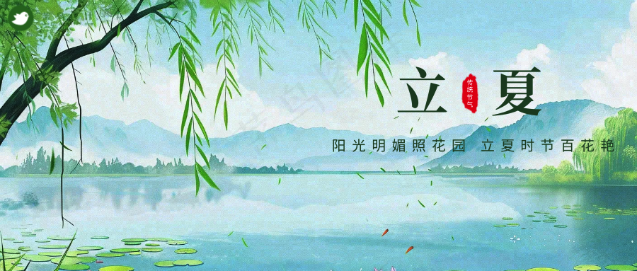 立夏公众号首图