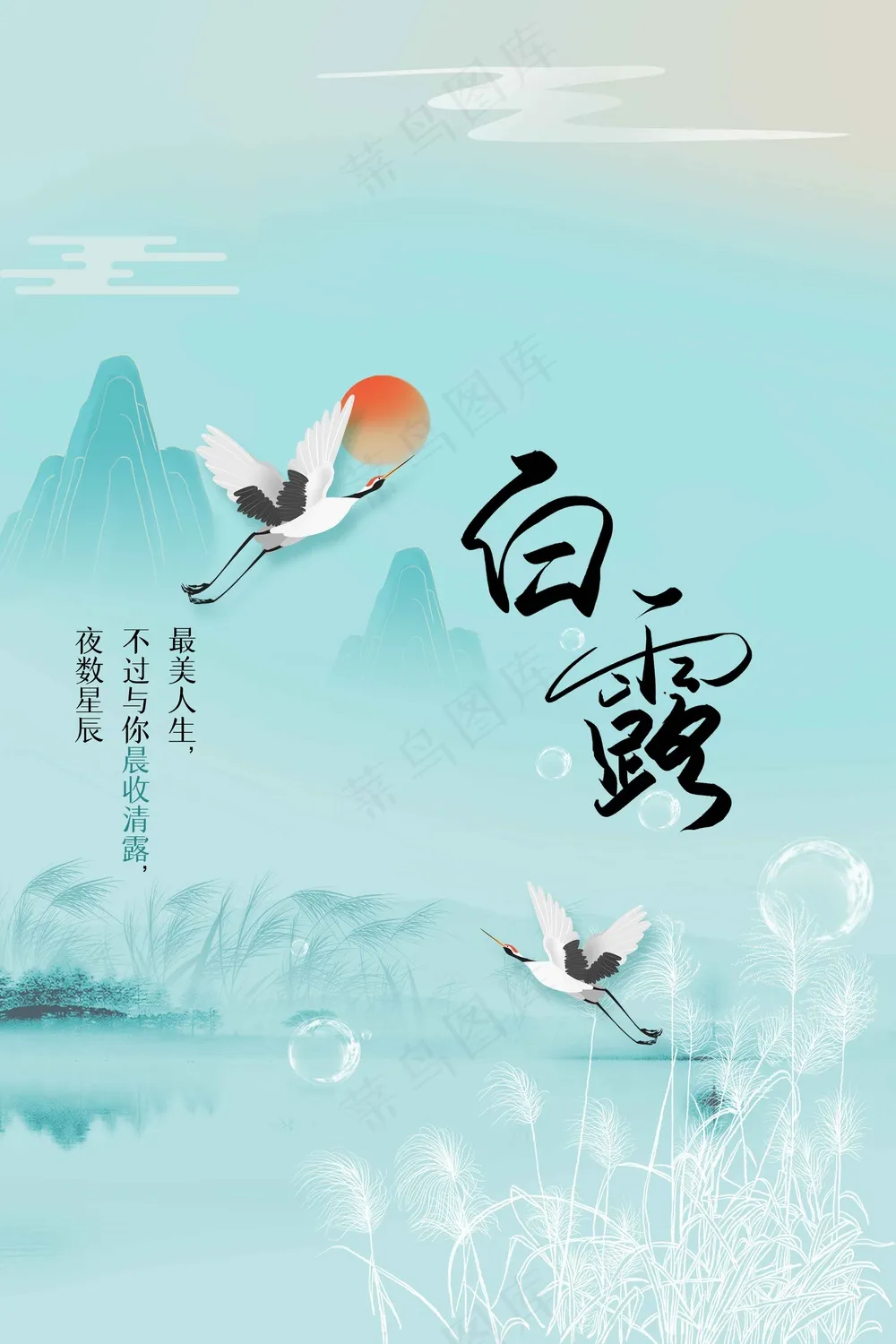 白露节气传统活动海报