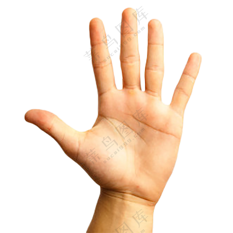 手掌免扣图片