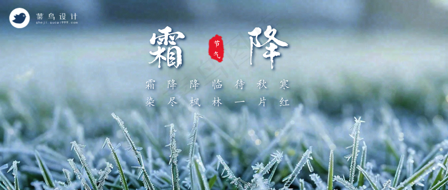 霜降公众号首图