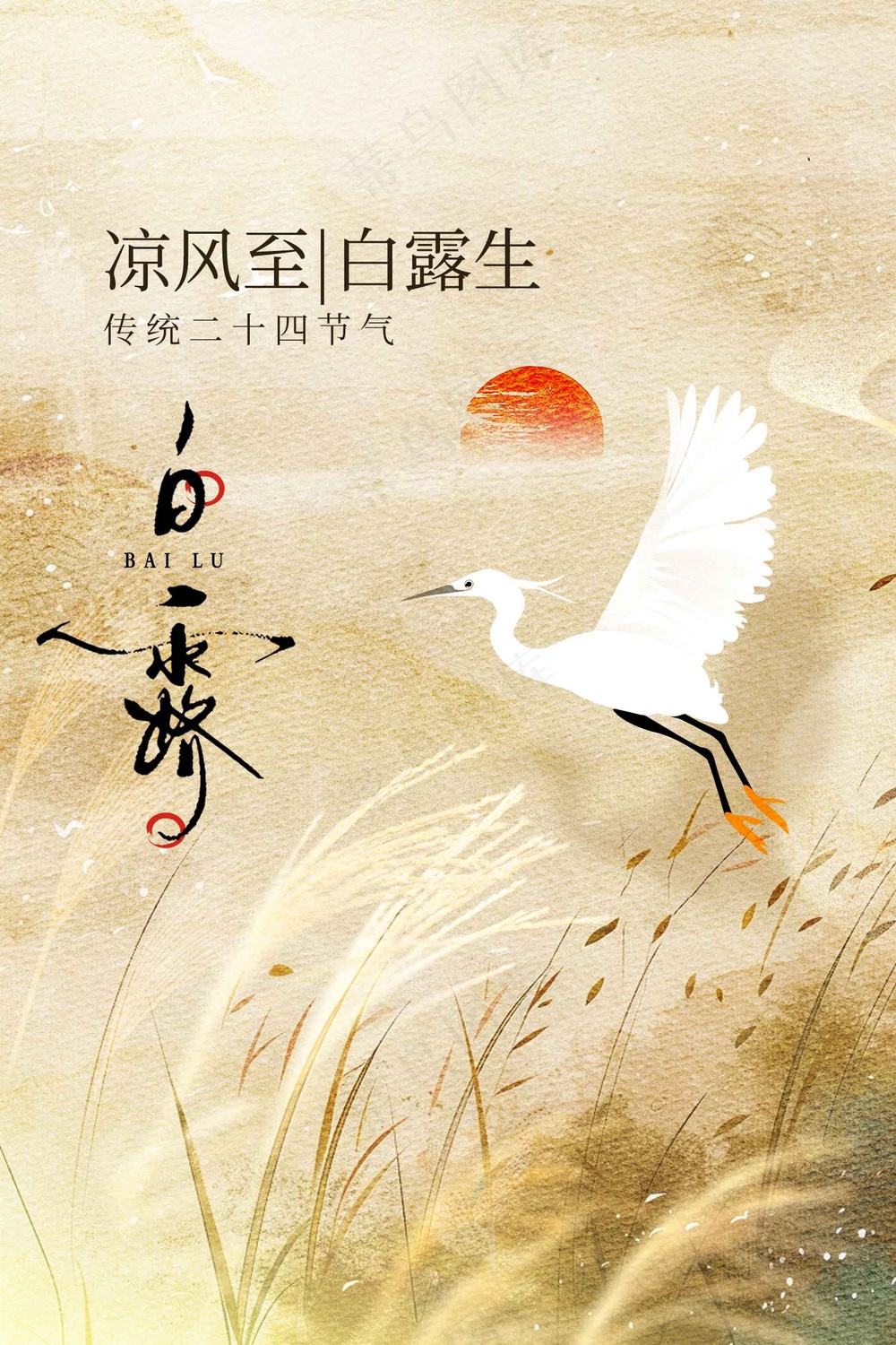 白露节气传统活动宣传海报