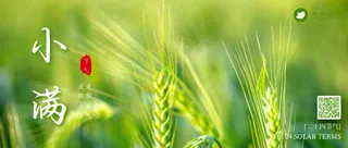 小满公众号首图