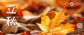 立秋公众号首图