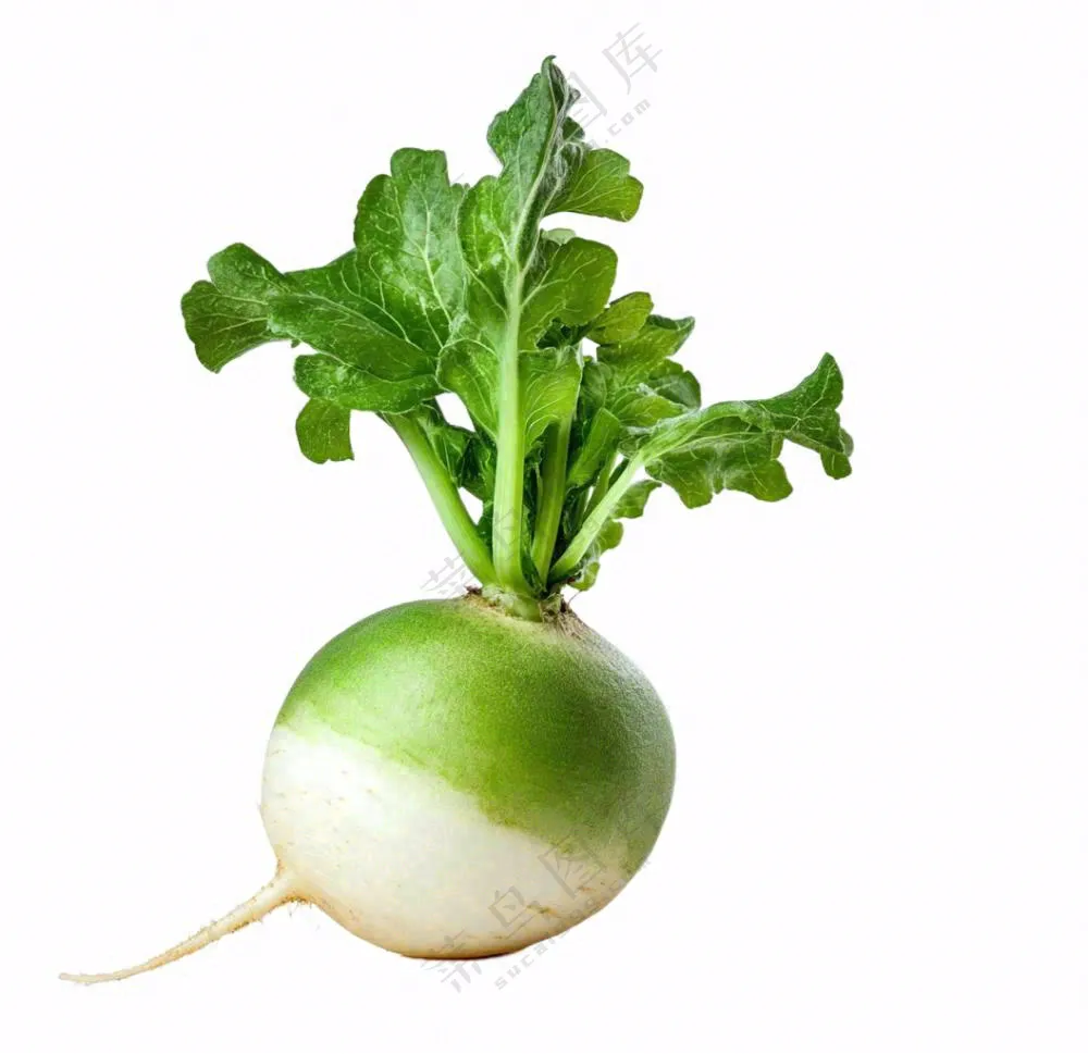 萝卜蔬菜免抠