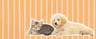 猫狗宠物店宣传卡通插画背景