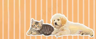 猫狗宠物店宣传卡通插画背景