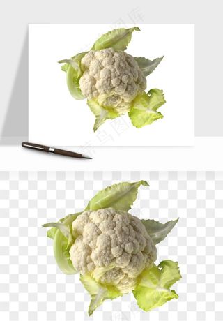 花菜椰菜花蔬菜png免抠