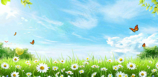 高空抛物小区物业安全教育背景