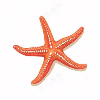 海星海洋生物卡通插画免抠