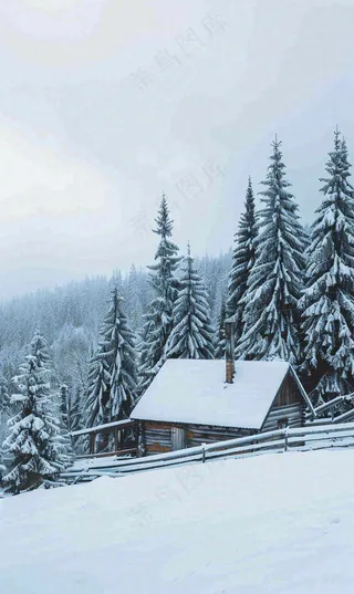 冬天寒冷白雪结冰大寒摄影图