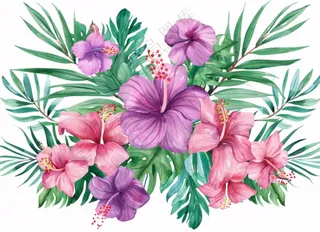 花艺插画植物花朵水彩免抠