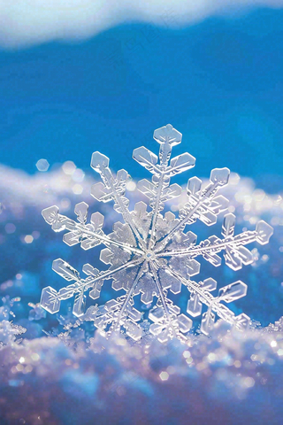 冰天雪地里的透明雪花白雪立冬小寒大寒冬至摄影图/