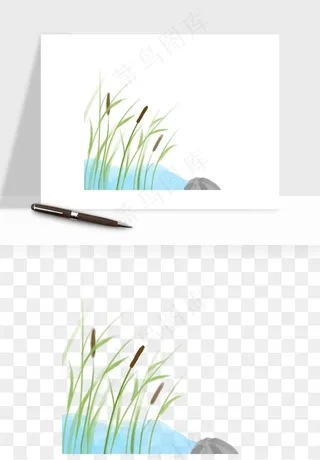 植物芦苇蒲苇香蒲png免抠
