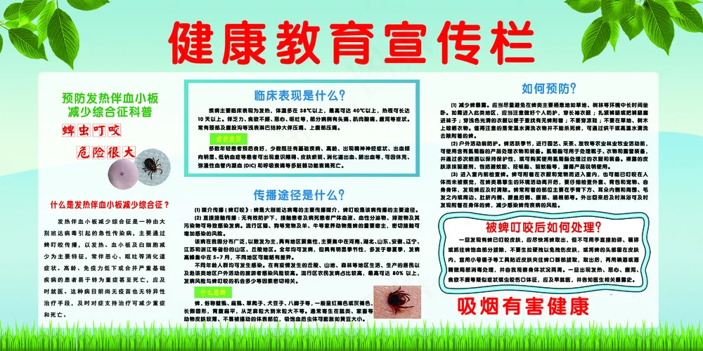 健康教育宣传  预防蜱虫