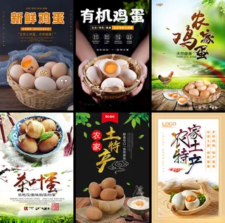 土鸡蛋海报土鸡蛋海报鸡蛋