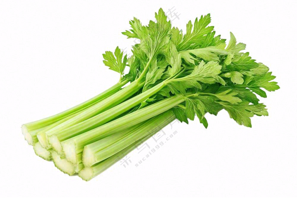 芹菜蔬菜免抠