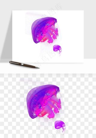 水母章鱼海底生物png免抠图