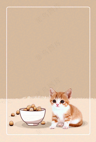 宠物常识宠物攻略猫狗卡通插画背景