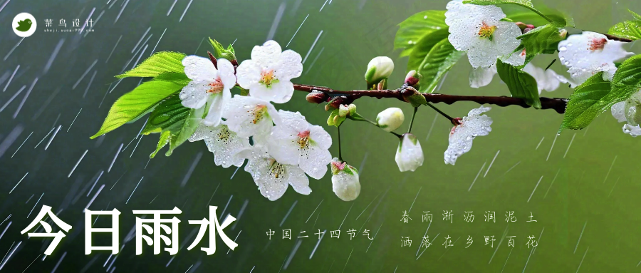 雨水公众号首图