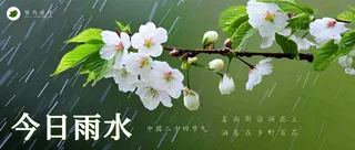 雨水公众号首图