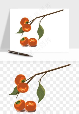 手绘柿子树秋png免抠