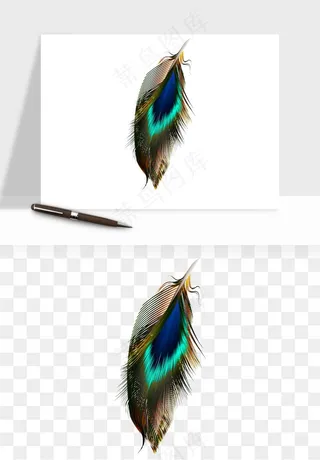 白羽毛漂浮彩色羽毛png免抠