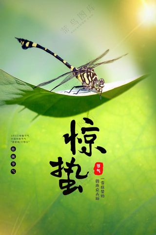 惊蛰节气传统活动海报