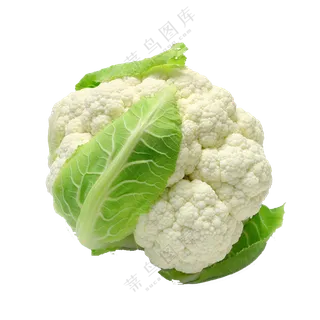 几片绿叶包裹着的花菜免抠图片素材