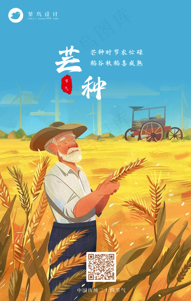 芒种手机海报