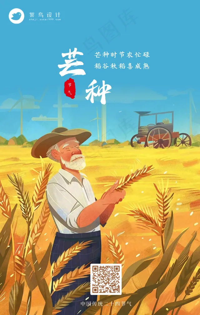 芒种手机海报