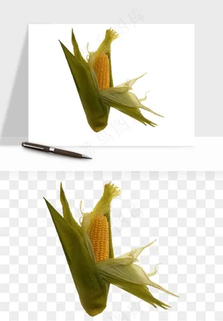 玉米带叶玉米png免抠