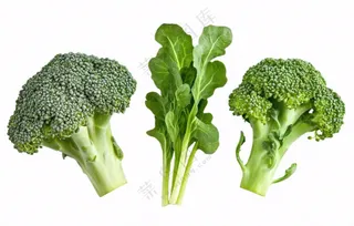西蓝花蔬菜免抠