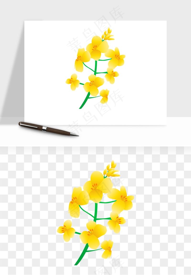 油菜花田png免抠