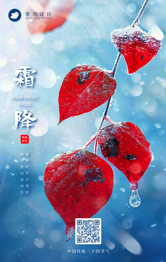 霜降手机海报