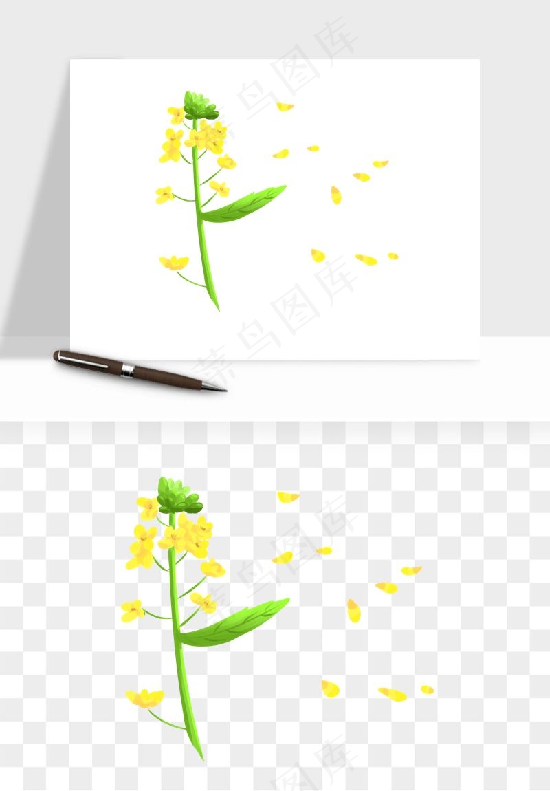油菜花田png免抠