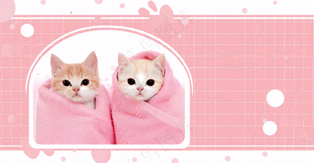 猫狗宠物店宣传卡通插画背景
