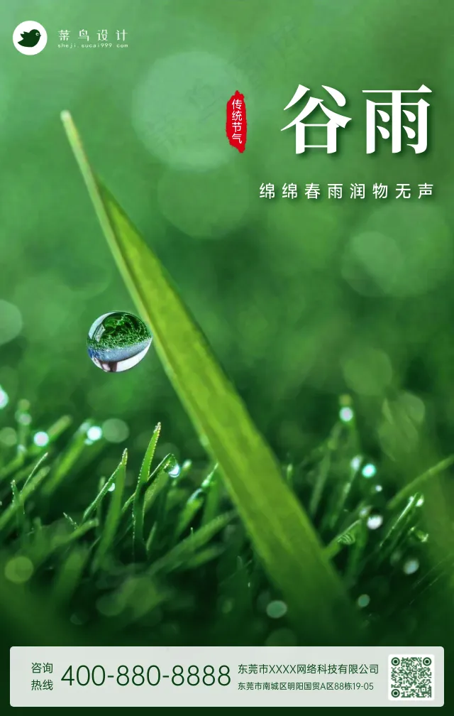 谷雨手机海报