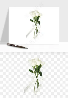 白玫瑰花枝花束png免抠