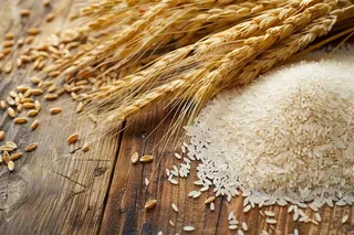 世界粮食日谷物米饭稻谷小麦摄影图