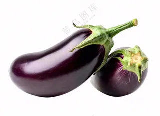 茄子紫茄蔬菜免抠