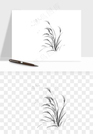 植物芦苇蒲苇香蒲png免抠