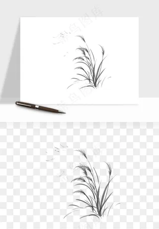 植物芦苇蒲苇香蒲png免抠